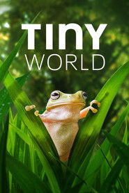 Tiny World poster