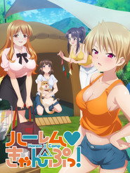 Harem Camp! poster