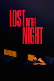 Lost in the Night poster
