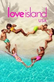 Love Island USA poster