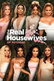 The Real Housewives of Potomac poster