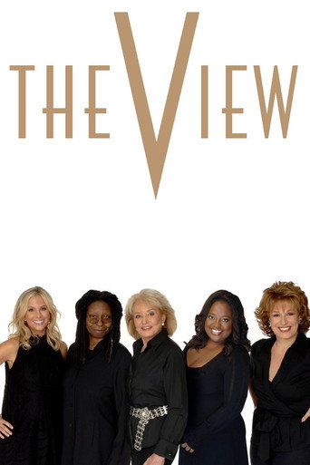 The View Season 15 poster
