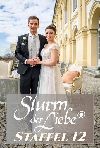 Storm of Love Season 12 poster