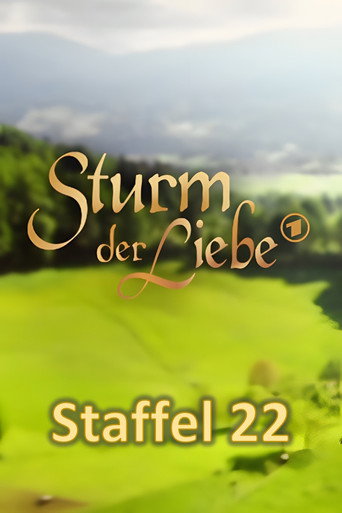 Storm of Love Season 22 poster