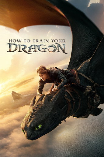 How to Train Your Dragon poster