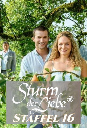 Storm of Love Season 16 poster