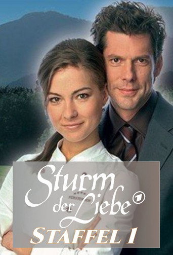 Storm of Love Season 1 poster