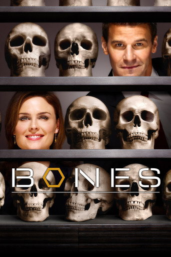 Bones Season 4 poster