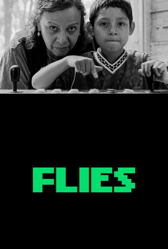 Flies poster