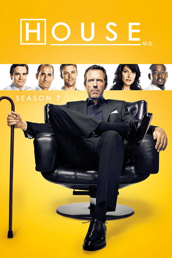 House Season 7 poster