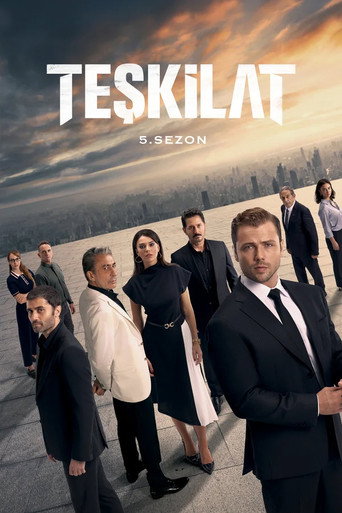 The Shadow Team Season 5 poster
