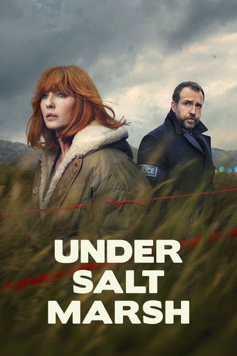 Under Salt Marsh poster