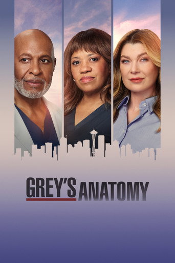 Grey's Anatomy Season 23 poster