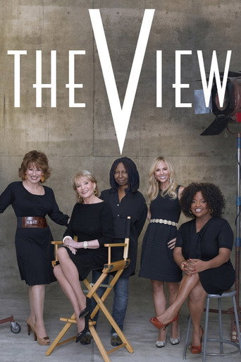 The View Season 16 poster