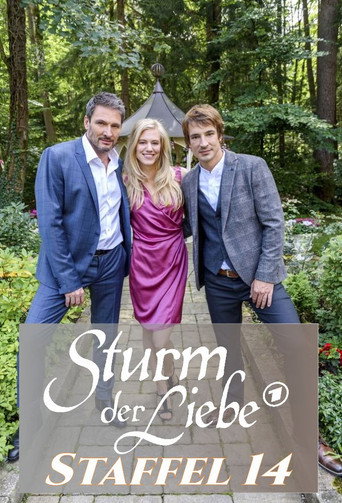 Storm of Love Season 14 poster
