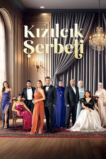 Kızılcık Şerbeti Season 3 poster