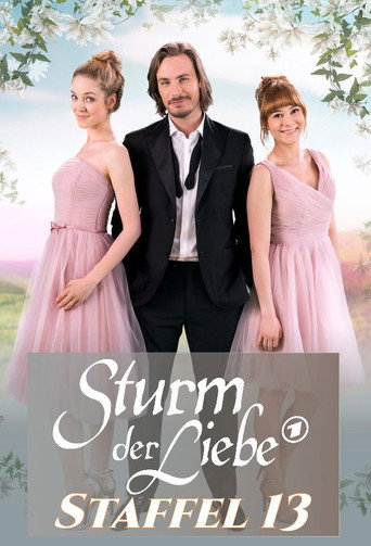 Storm of Love Season 13 poster