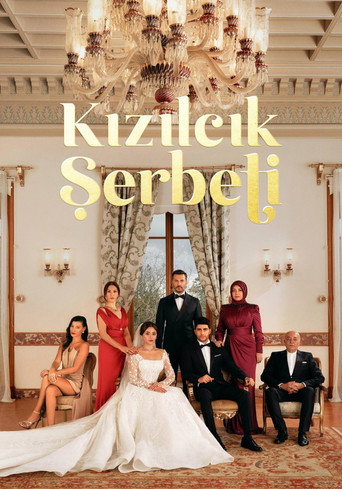 Kızılcık Şerbeti Season 1 poster