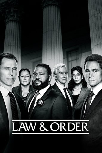 Law & Order Season 21 poster