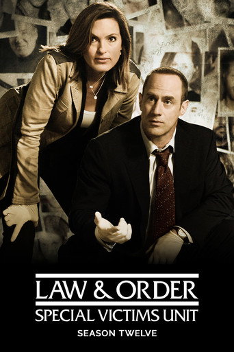 Law & Order: Special Victims Unit Season 12 poster