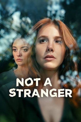Not a Stranger poster