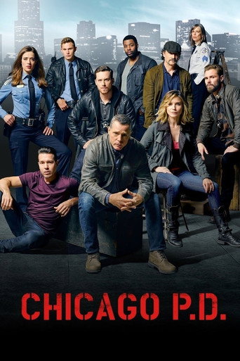 Chicago P.D. Season 3 poster