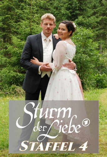 Storm of Love Season 4 poster