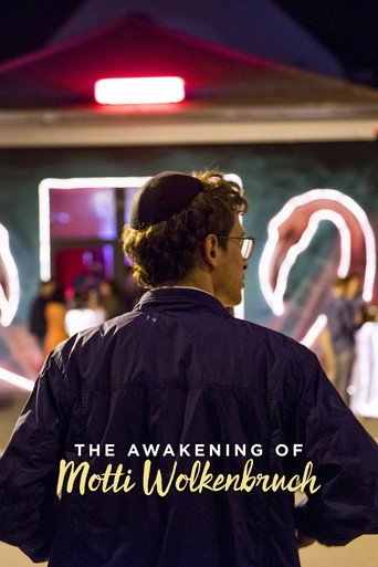 The Awakening of Motti Wolkenbruch poster