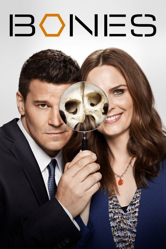 Bones Season 12 - The Final Chapter poster