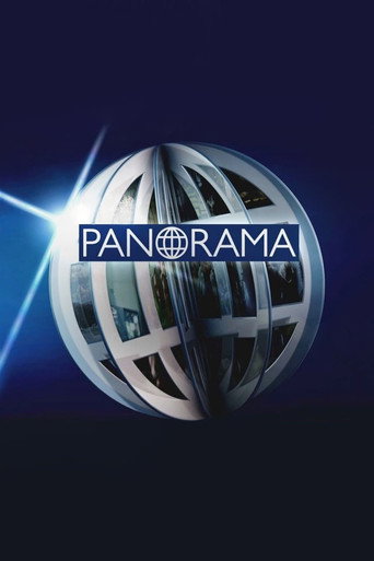 Panorama 2010 poster