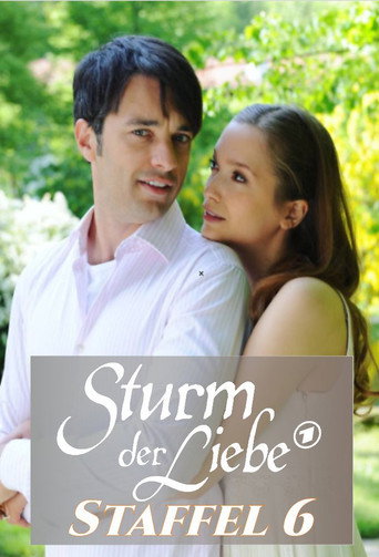 Storm of Love Season 6 poster