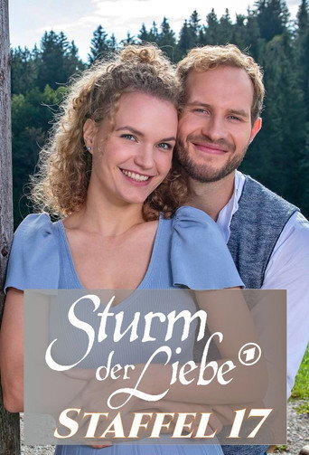 Storm of Love Season 17 poster
